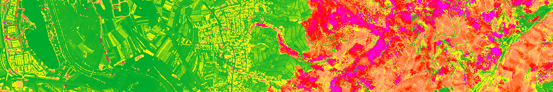 nDOM Fries Kinzigtal