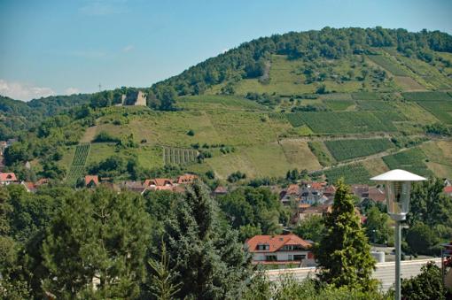 Beginnende Verbuschung