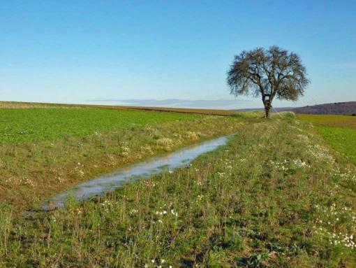 maschinell bewirtschaftbare Grünmulde