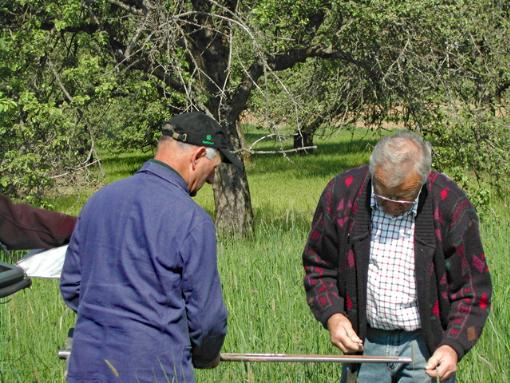 Begutachtung einer Bodenprobe im Bohrstock